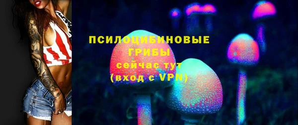 mix Надым