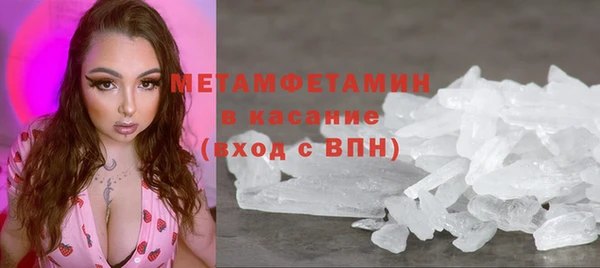 индика Белая Холуница