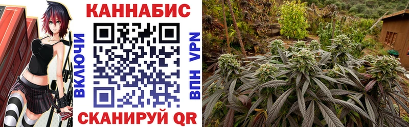 Бошки Шишки AK-47  Дмитриев 